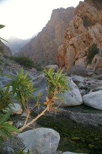 (锦绣山河风景)锦绣山河：充满美丽而壮丽的山脉和河流的景观