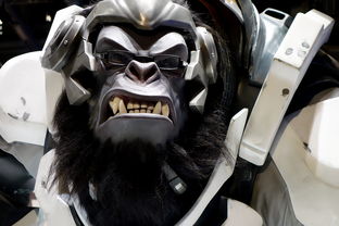 (滴滴出租车司机端新版下载安装)滴滴出租车司机版下载:为您提供更方便的专业驾驶服务 (滴滴出租车司机端新版下载安装)滴滴出租车司机版下载:为您提供更方便的专业驾驶服务