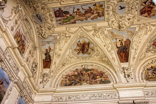 (余罪第五季小说)余罪第五季：重聚、再战、新篇章，引爆更多惊险破案之旅！