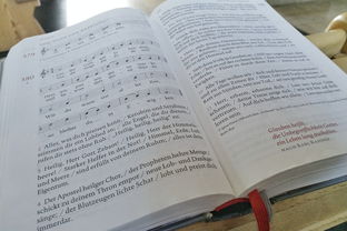 武林盟主记事:程潇舒长华盟主身世揭秘与独特武功传承 武林盟主记事:程潇舒长华盟主身世揭秘与独特武功传承