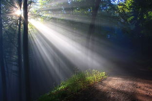 (权谋九幽小说)权谋之间,九龙夺嫡之君临天下最新章节即将揭晓 (权谋九幽小说)权谋之间,九龙夺嫡之君临天下最新章节即将揭晓