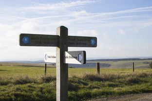 (使魔计划游戏)使魔计划PVP：挑战他人，提升技能，征服战场，战略策略独具一格