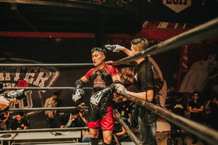 英雄训练师0.1折巨大折扣！助力玩家全面提升战斗力，改变游戏成就和体验