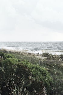 (艾诺迪亚4plus(完美版)豪华破解版)详细指南：如何下载和使用艾诺迪亚4破解版，畅玩无限乐趣