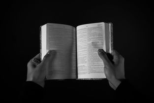 深度解析:宅人传说与折相思之间的情感纠葛-从网络社交的角度看现代人际关系的变迁 深度解析:宅人传说与折相思之间的情感纠葛-从网络社交的角度看现代人际关系的变迁