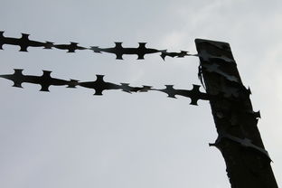 (可爱萌萌动画片)探秘神奇萌可动画片魅力：触动心灵的奇幻世界与可爱魔力