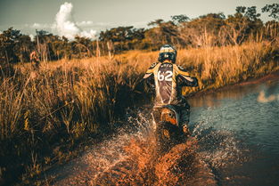 全民捉迷藏开局一个搜索框，谁隐藏在其中？一部充满悬疑的漫画故事！