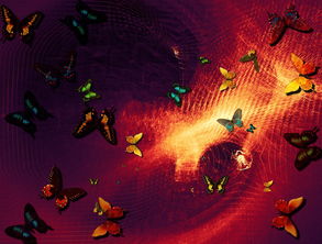 (璀璨星途逆袭之星途璀璨免费观看)追逐梦想的逆袭之璀璨星途：经典老版游戏