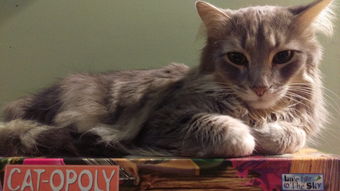 (轩辕剑3天之痕完美通关图文攻略)详细图解:轩辕剑3天之痕全程流程攻略与秘籍大全 (轩辕剑3天之痕完美通关图文攻略)详细图解:轩辕剑3天之痕全程流程攻略与秘籍大全