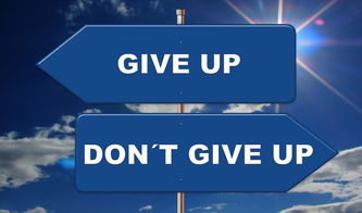 新澳门期期必中30码|掌握趋势轻松应对市场变化_定时款.3.924