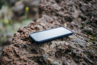 (女主江意桐男主顾近轩)顾意弦江枭小说免费阅读：神秘江湖，扣人心弦的故事！