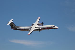 柴犬侠客表情包：萌犬化身武侠英雄，带你领略不一样的表情魅力