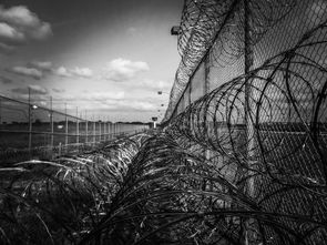 深渊幻影手游公益版：体验无尽恐怖，共同守护正义与公平的世界