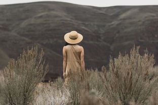 从零开始的废品大亨攻略:如何在废品回收行业中实现逆袭与财富增长 从零开始的废品大亨攻略:如何在废品回收行业中实现逆袭与财富增长