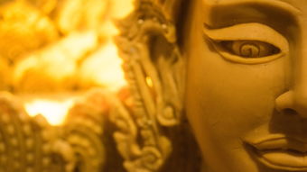 (雄兵连最高神)雄兵连的神体等级划分:揭示天赋异禀者的非凡特质与力量差异 (雄兵连最高神)雄兵连的神体等级划分:揭示天赋异禀者的非凡特质与力量差异