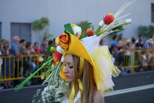 “探索皇家公主制衣店的神秘所在：哪里能找到梦幻般的公主服装？”