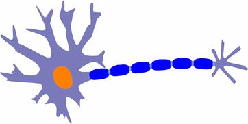 (细胞生物学相关的新技术)探索细胞奇点超越E27的前沿科技：未来生物学的新篇章