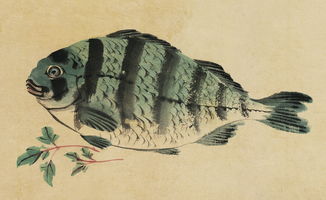 (我的江湖古鱼(gejianyunice)_...)我的江湖古鱼最新章节免费阅读精彩内容尽在眼前 (我的江湖古鱼(gejianyunice)_...)我的江湖古鱼最新章节免费阅读精彩内容尽在眼前