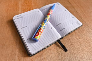 (梦幻家园全部解锁)梦幻家园解锁房间顺序攻略：打开每个房间的秘密门径