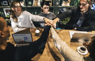 (中视频伙伴计划的目的)伙伴计划和中视频伙伴的区别详解