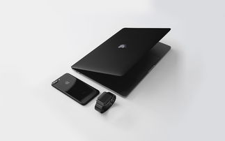 笔记本电脑音箱嗡嗡响的问题怎么解决？详细步骤和有效方法揭秘