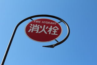 (绘世花鸟卷14s魂土)探寻神秘之美:绘世花鸟卷魂土阵容的惊世奥秘 (绘世花鸟卷14s魂土)探寻神秘之美:绘世花鸟卷魂土阵容的惊世奥秘