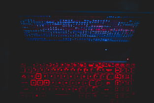 (让电脑中病毒的代码)全面解析：电脑病毒代码大全汇总，免费下载与复制使用指南