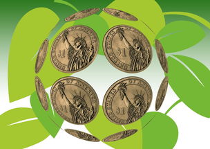 探索森林英雄会：激发环保意识，携手守护我们的自然家园活动计划与倡议解读