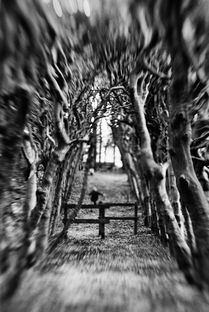 (黑色洛城好玩儿吗)深度探秘：黑色洛城旅游全攻略与隐藏秘密揭示