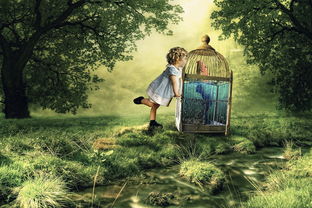 (夏日幻象主唱)夏日幻象：炎炎夏日中的美丽幻境，让心灵在梦幻中徜徉