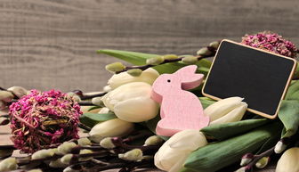 (传统文明文化传承的手抄报)中国传统文化知识章节答案：文明传承圣火燃烧万年