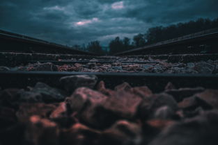 探索真实世界：以我的世界地球生存为视角，深入解析现代社会生态与人类文明发展