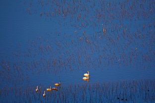 (自然界中风的形成过程)探索风之起源：揭示自然界中风的形成与演变的奥秘