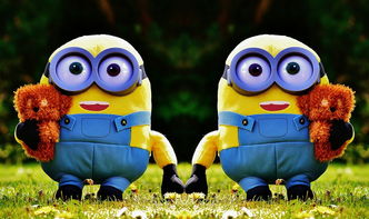 关于《食物语》全人物图鉴，全面解析角色背景与特色，一览角色设计与成长之路