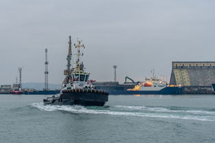 航海日记2攻略：游戏经验分享与技巧大揭秘，助你驾驶船只探索无尽海域