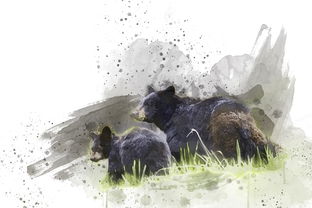 探究游戏变革：克瑞因的纷争插件如何塑造并丰富现代网络游戏体验