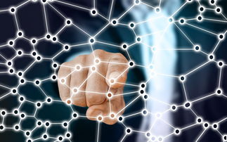 (虚荣心的定义和表现)探讨虚荣的意思：如何理解虚荣心在现代社会中的影响与表现