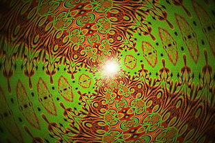 (飞禽走兽单机版飞禽走兽游戏机)安卓版飞禽走兽单机版无限金币版：享受无尽的游戏乐趣