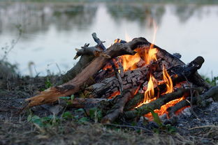 西楚霸王项羽乌江自刎：英勇无畏的英雄悲歌与千古不朽的历史记忆