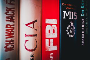 (九霄剑尊 小说)探秘百度百科中的九霄剑尊：剑术与修行的奇妙世界引人深思