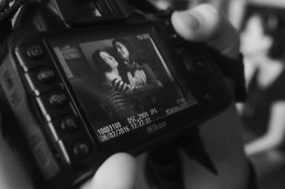 (墨影侠踪steam)探寻墨影侠踪攻略:揭秘隐藏任务、打怪技巧与装备推荐 (墨影侠踪steam)探寻墨影侠踪攻略:揭秘隐藏任务、打怪技巧与装备推荐