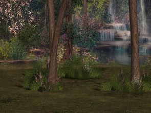 (荣耀新三国公示时间)荣耀新三国公测时间是什么时候？