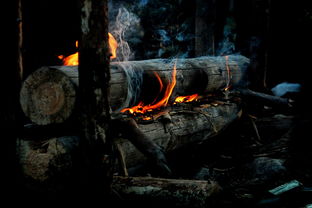 (火炬之光刷装备攻略)火炬之光无限搬砖攻略:如何高效获取资源与提升角色实力 (火炬之光刷装备攻略)火炬之光无限搬砖攻略:如何高效获取资源与提升角色实力