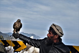 (行界零官网)深入解析行界行界与归界行界的区别及其在实际应用中的影响