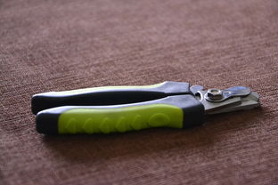 Where to Watch Transformers 3 in Original English Version Online Where to Watch Transformers 3 in Original English Version Online