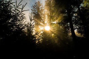 探寻虚拟世界的秘密:《网游之冰封天下》对照现实展现的网络游戏社会影响力解析 探寻虚拟世界的秘密:《网游之冰封天下》对照现实展现的网络游戏社会影响力解析