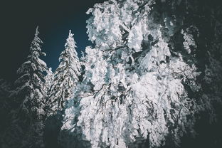 (劫出无尽)探访神秘世界的刺激冒险:劫界手游带你踏上无尽挑战之旅 (劫出无尽)探访神秘世界的刺激冒险:劫界手游带你踏上无尽挑战之旅