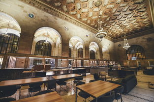 部落守卫战攻略：草原突围全解析，快速突破敌军防线的制胜之道