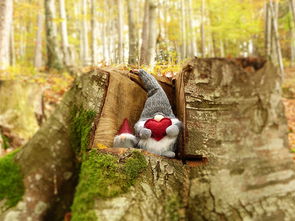 细狗小怪兽网页版2:超级可爱的虚拟宠物养成游戏,快来体验吧! 细狗小怪兽网页版2:超级可爱的虚拟宠物养成游戏,快来体验吧!