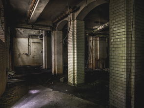 (鬼影镇攻略图片)探索鬼影镇手机安卓:解密恐怖背后的技术奥秘与神秘力量 (鬼影镇攻略图片)探索鬼影镇手机安卓:解密恐怖背后的技术奥秘与神秘力量